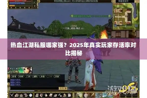 热血江湖私服哪家强？2025年真实玩家存活率对比揭秘