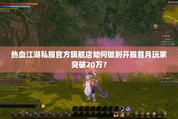 热血江湖私服官方旗舰店如何做到开服首月玩家突破20万？