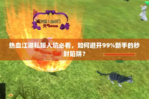 热血江湖私服入坑必看，如何避开99%新手的秒封陷阱？