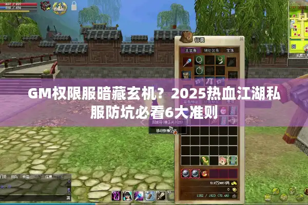 GM权限服暗藏玄机？2025热血江湖私服防坑必看6大准则
