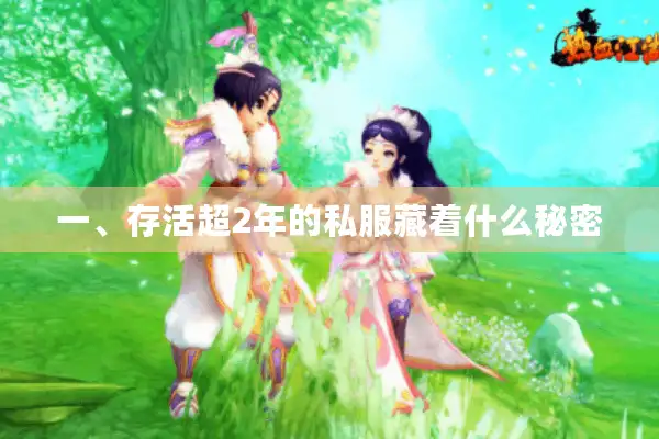 一、存活超2年的私服藏着什么秘密 一、存活超2年的私服藏着什么秘密
