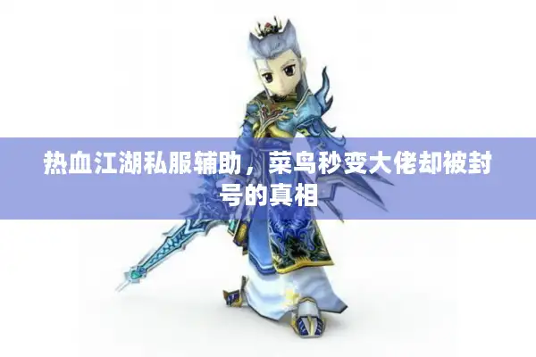 热血江湖私服辅助，菜鸟秒变大佬却被封号的真相