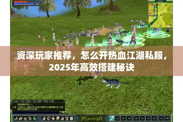 资深玩家推荐，怎么开热血江湖私服，2025年高效搭建秘诀