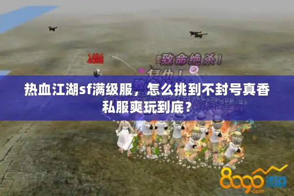热血江湖sf满级服，怎么挑到不封号真香私服爽玩到底？