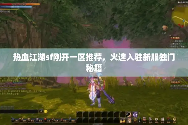 热血江湖sf刚开一区推荐，火速入驻新服独门秘籍