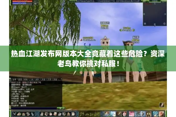 热血江湖发布网版本大全竟藏着这些危险？资深老鸟教你挑对私服！