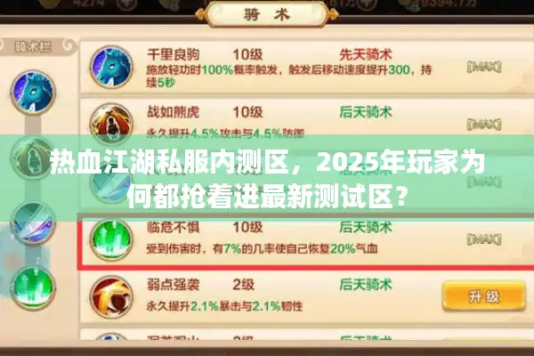 热血江湖私服内测区，2025年玩家为何都抢着进最新测试区？