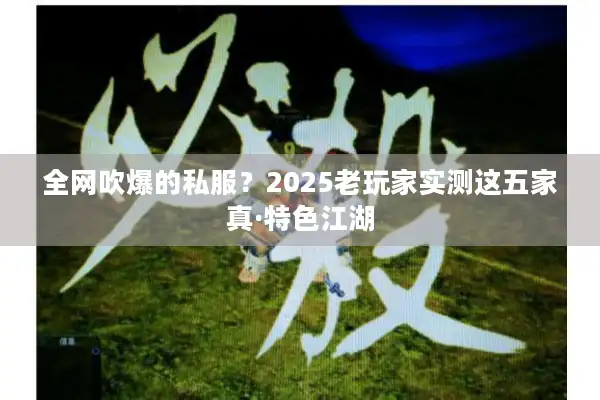 全网吹爆的私服？2025老玩家实测这五家真·特色江湖