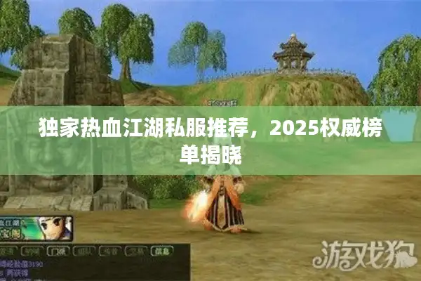 独家热血江湖私服推荐,2025权威榜单揭晓 独家热血江湖私服推荐,2025权威榜单揭晓