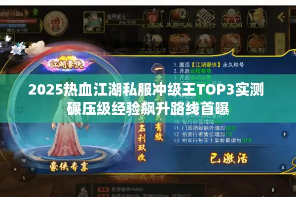 2025热血江湖私服冲级王TOP3实测 碾压级经验飙升路线首曝