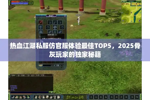 热血江湖私服仿官服体验最佳TOP5，2025骨灰玩家的独家秘籍