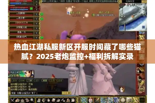 热血江湖私服新区开服时间藏了哪些猫腻？2025老炮监控+福利拆解实录
