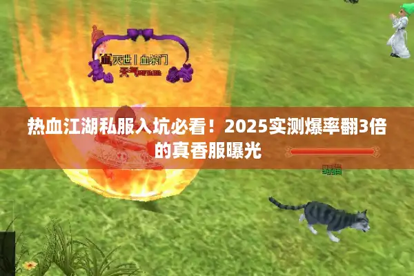 热血江湖私服入坑必看！2025实测爆率翻3倍的真香服曝光