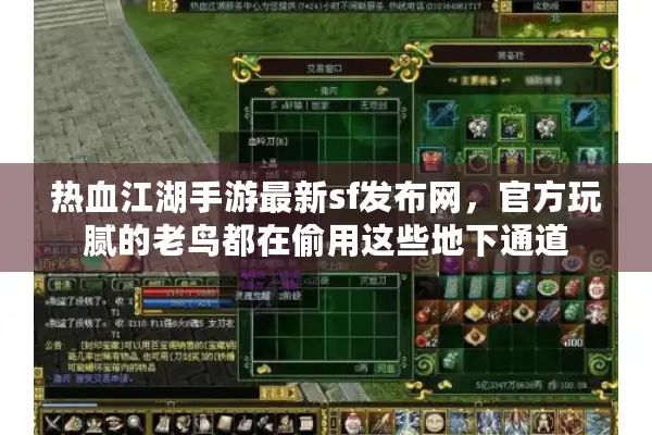 热血江湖手游最新sf发布网，官方玩腻的老鸟都在偷用这些地下通道