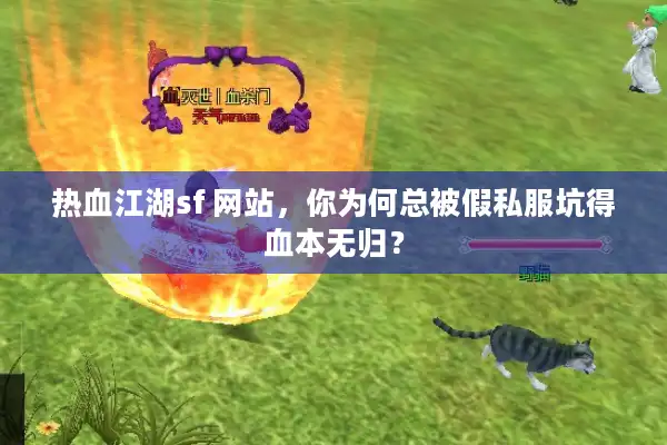 热血江湖sf 网站,你为何总被假私服坑得血本无归? 热血江湖sf 网站,你为何总被假私服坑得血本无归?