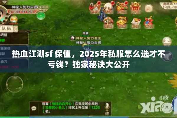 热血江湖sf 保值，2025年私服怎么选才不亏钱？独家秘诀大公开