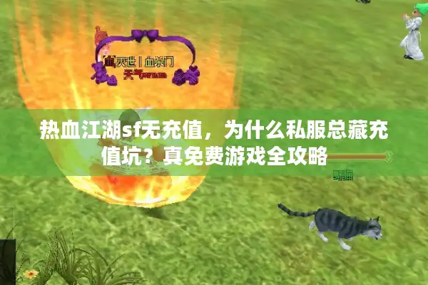 热血江湖sf无充值，为什么私服总藏充值坑？真免费游戏全攻略