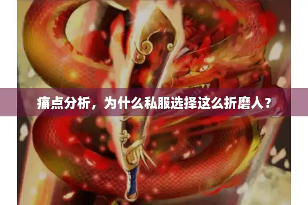 痛点分析，为什么私服选择这么折磨人？