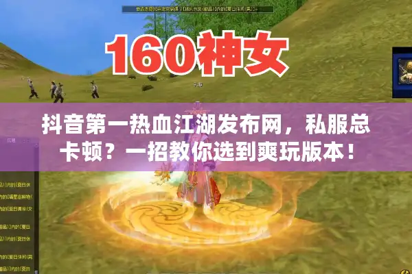 抖音第一热血江湖发布网，私服总卡顿？一招教你选到爽玩版本！