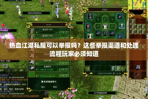 热血江湖私服可以举报吗?这些举报渠道和处理流程玩家必须知道 热血江湖私服可以举报吗?这些举报渠道和处理流程玩家必须知道