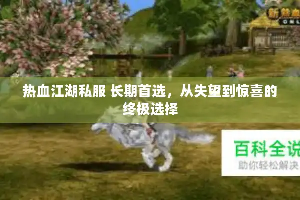 热血江湖私服 长期首选，从失望到惊喜的终极选择