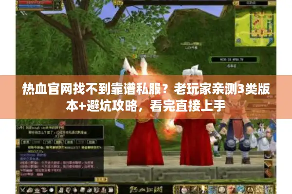 热血官网找不到靠谱私服？老玩家亲测3类版本+避坑攻略，看完直接上手