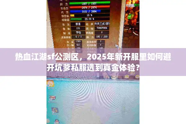 热血江湖sf公测区，2025年新开服里如何避开坑爹私服选到真金体验？