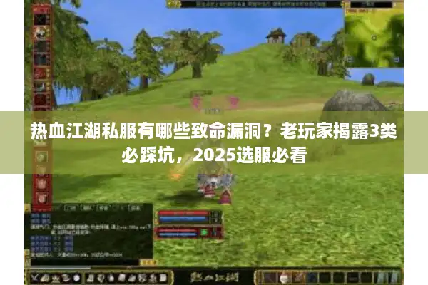 热血江湖私服有哪些致命漏洞？老玩家揭露3类必踩坑，2025选服必看