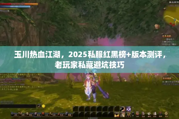 玉川热血江湖，2025私服红黑榜+版本测评，老玩家私藏避坑技巧
