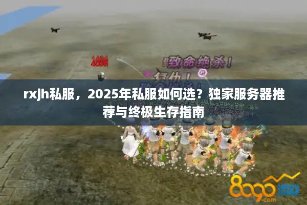 rxjh私服，2025年私服如何选？独家服务器推荐与终极生存指南