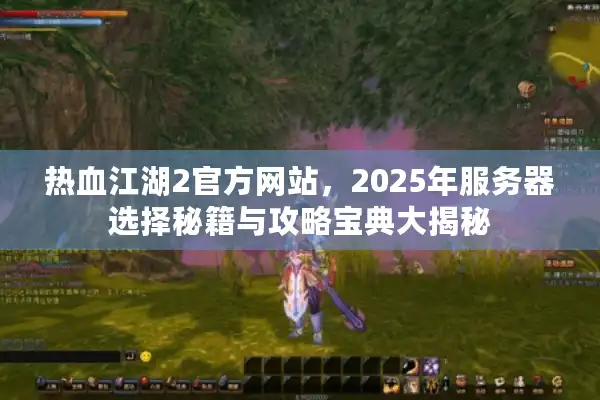 热血江湖2官方网站，2025年服务器选择秘籍与攻略宝典大揭秘