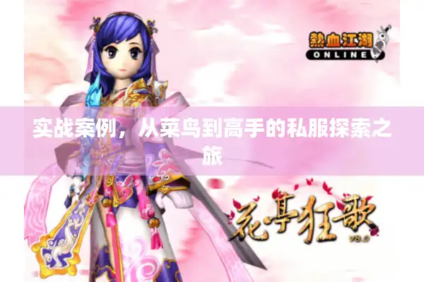 实战案例,从菜鸟到高手的私服探索之旅 实战案例,从菜鸟到高手的私服探索之旅