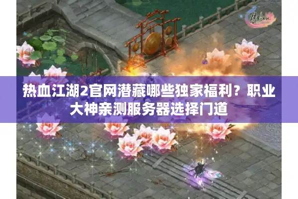 热血江湖2官网潜藏哪些独家福利？职业大神亲测服务器选择门道