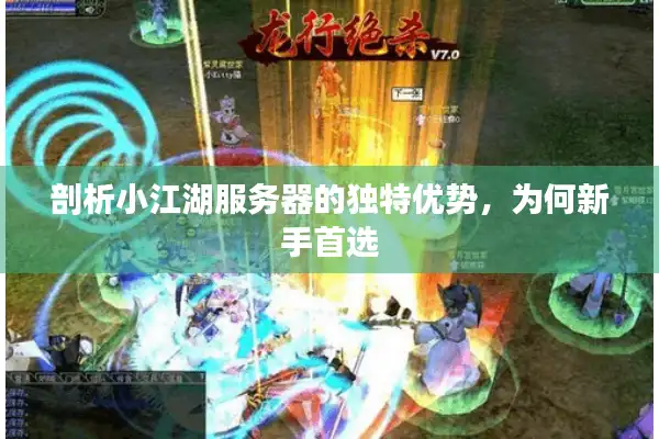 剖析小江湖服务器的独特优势，为何新手首选