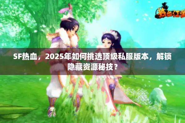 SF热血，2025年如何挑选顶级私服版本，解锁隐藏资源秘技？