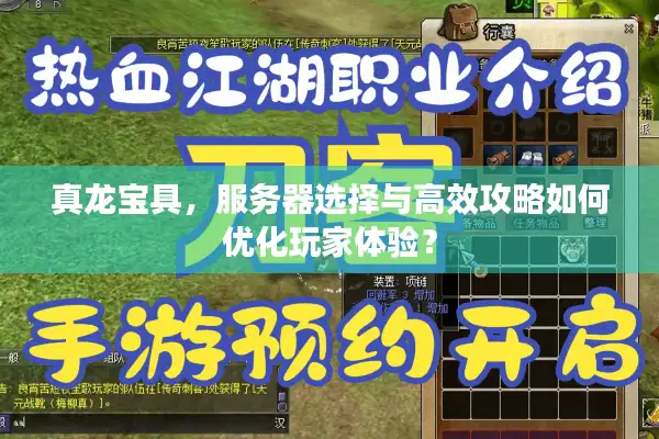 真龙宝具，服务器选择与高效攻略如何优化玩家体验？