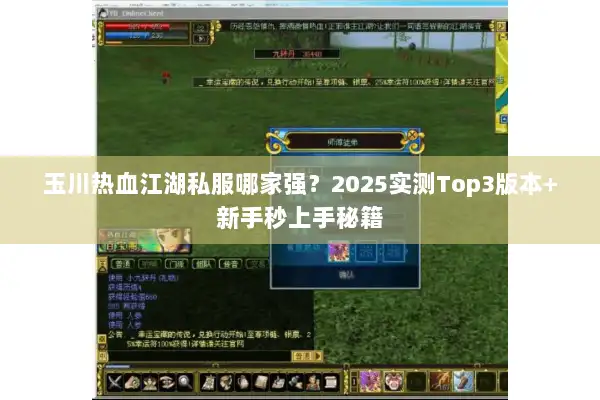 玉川热血江湖私服哪家强？2025实测Top3版本+新手秒上手秘籍