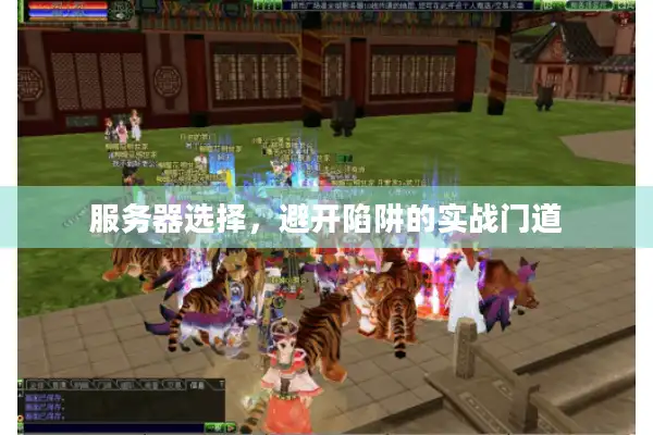 服务器选择，避开陷阱的实战门道