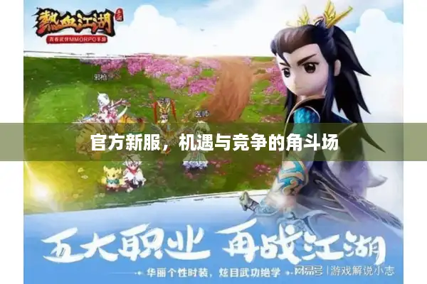 官方新服，机遇与竞争的角斗场