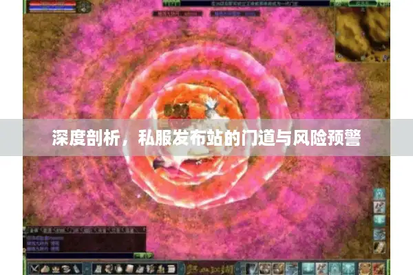 深度剖析，私服发布站的门道与风险预警