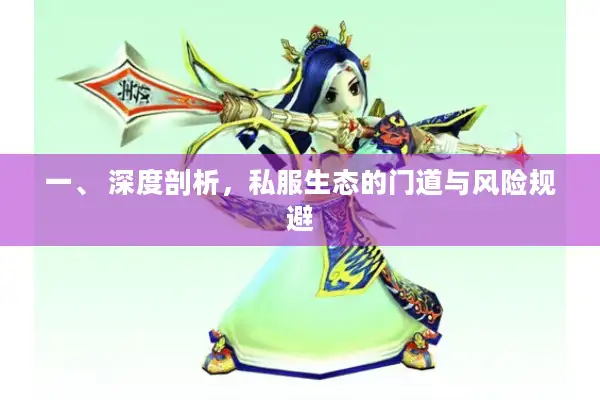 一、 深度剖析，私服生态的门道与风险规避