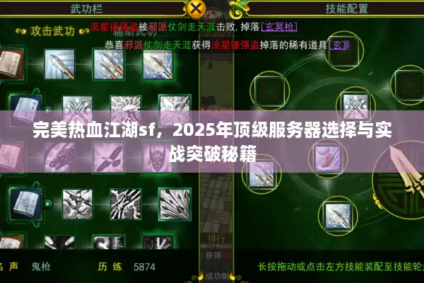 完美热血江湖sf，2025年顶级服务器选择与实战突破秘籍