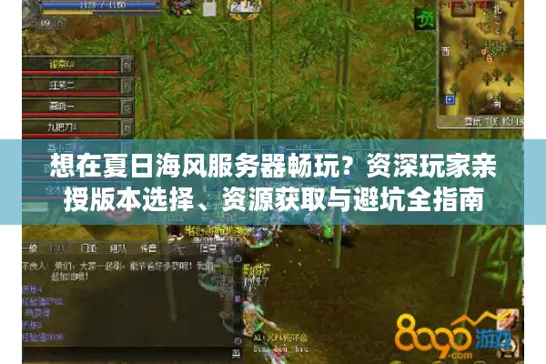 想在夏日海风服务器畅玩？资深玩家亲授版本选择、资源获取与避坑全指南