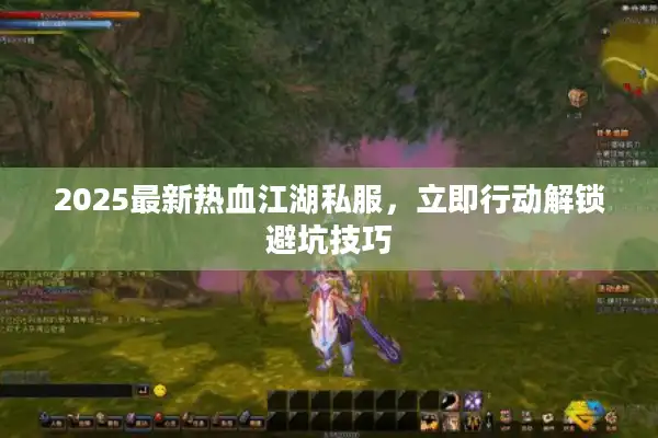2025最新热血江湖私服，立即行动解锁避坑技巧