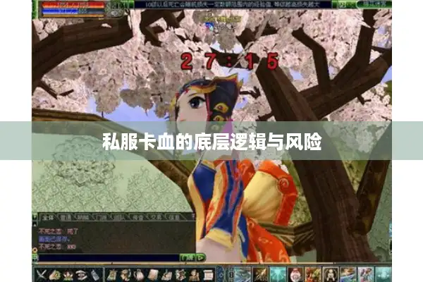 私服卡血的底层逻辑与风险 私服卡血的底层逻辑与风险