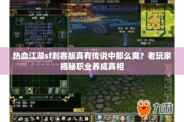热血江湖sf刺客版真有传说中那么爽？老玩家揭秘职业养成真相
