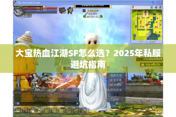 大宝热血江湖SF怎么选？2025年私服避坑指南