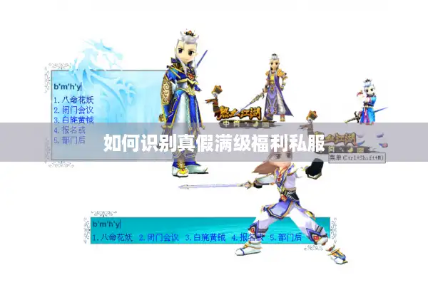 如何识别真假满级福利私服 如何识别真假满级福利私服