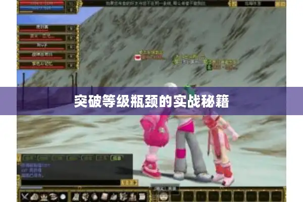 突破等级瓶颈的实战秘籍 突破等级瓶颈的实战秘籍