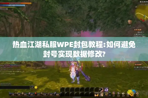 热血江湖私服WPE封包教程:如何避免封号实现数据修改?